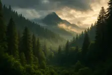 natural forest scene that conveys beauty, scale, and a sense of environmental urgency. Use lush greenery, misty or dramatic lighting, and layered depth with mountains or forest canopies